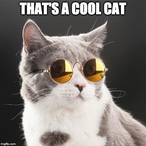 THAT'S A COOL CAT | made w/ Imgflip meme maker