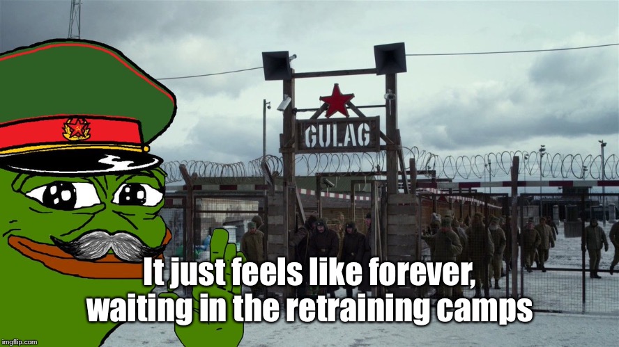 Stalin Gulag Pepe | It just feels like forever, waiting in the retraining camps | image tagged in stalin gulag pepe | made w/ Imgflip meme maker