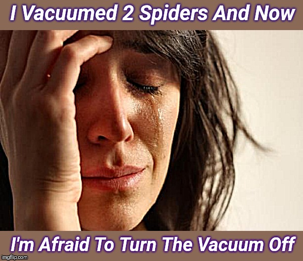 First World Problems Meme | I Vacuumed 2 Spiders And Now; I'm Afraid To Turn The Vacuum Off | image tagged in memes,first world problems | made w/ Imgflip meme maker