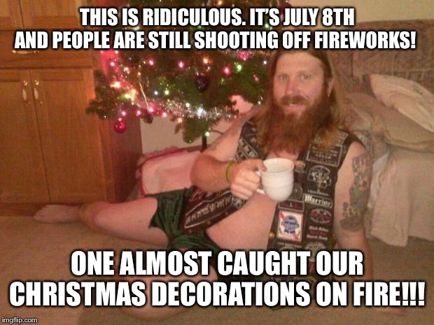 christmas metalhead | THIS IS RIDICULOUS. IT’S JULY 8TH AND PEOPLE ARE STILL SHOOTING OFF FIREWORKS! ONE ALMOST CAUGHT OUR CHRISTMAS DECORATIONS ON FIRE!!! | image tagged in christmas metalhead | made w/ Imgflip meme maker