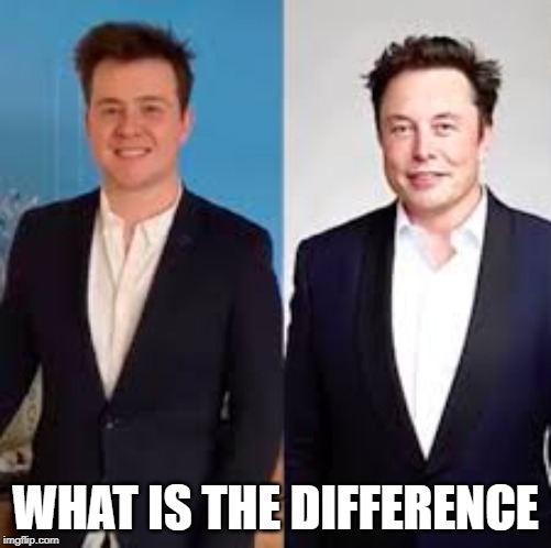 Elon Muselk | WHAT IS THE DIFFERENCE | image tagged in what is the difference | made w/ Imgflip meme maker