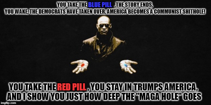 To Red Pill or Blue Pill?..., That is the Question. | BLUE PILL; YOU TAKE THE                            ,THE STORY ENDS. 
YOU WAKE, THE DEMOCRATS HAVE TAKEN OVER, AMERICA BECOMES A COMMUNIST SHITHOLE! YOU TAKE THE                    , YOU STAY IN TRUMPS AMERICA,
 AND I SHOW YOU JUST HOW DEEP THE "MAGA HOLE" GOES; RED PILL | image tagged in trump2020,donald trump,election 2020,matrix morpheus,matrix pills,matrix morpheus offer | made w/ Imgflip meme maker