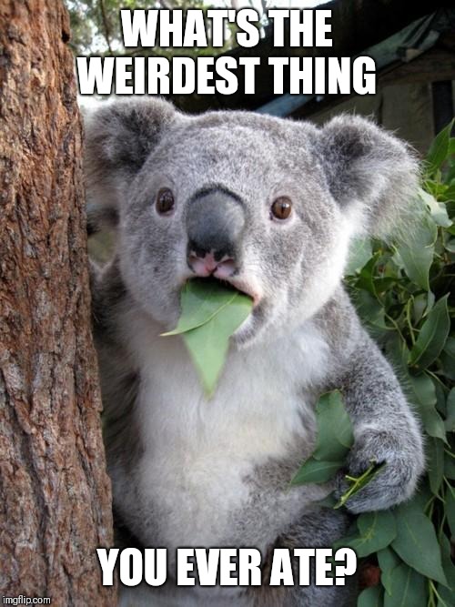 Surprised Koala Meme | WHAT'S THE WEIRDEST THING; YOU EVER ATE? | image tagged in memes,surprised koala | made w/ Imgflip meme maker