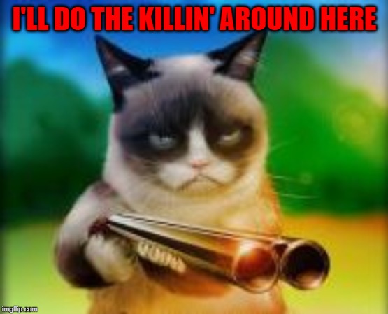 I'LL DO THE KILLIN' AROUND HERE | made w/ Imgflip meme maker
