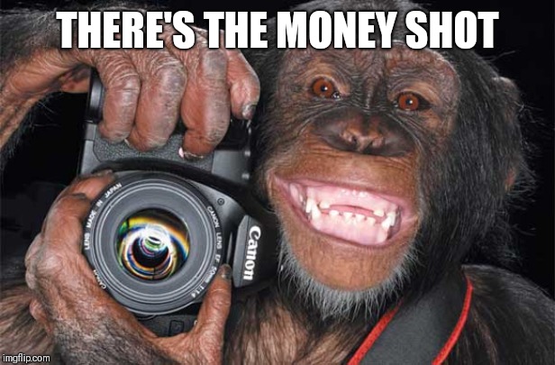 Camera Monkey | THERE'S THE MONEY SHOT | image tagged in camera monkey | made w/ Imgflip meme maker