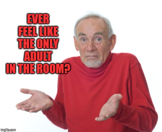 Guess I'll die  | EVER FEEL LIKE THE ONLY ADULT IN THE ROOM? | image tagged in guess i'll die | made w/ Imgflip meme maker