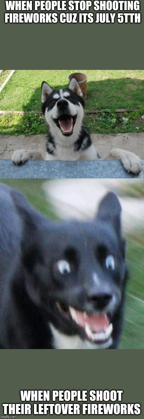 WHEN PEOPLE STOP SHOOTING FIREWORKS CUZ ITS JULY 5TTH; WHEN PEOPLE SHOOT THEIR LEFTOVER FIREWORKS | image tagged in scared doggo,happy doggo | made w/ Imgflip meme maker