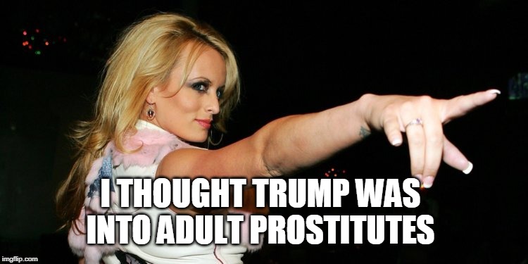 Stormy Daniels | I THOUGHT TRUMP WAS INTO ADULT PROSTITUTES | image tagged in stormy daniels | made w/ Imgflip meme maker