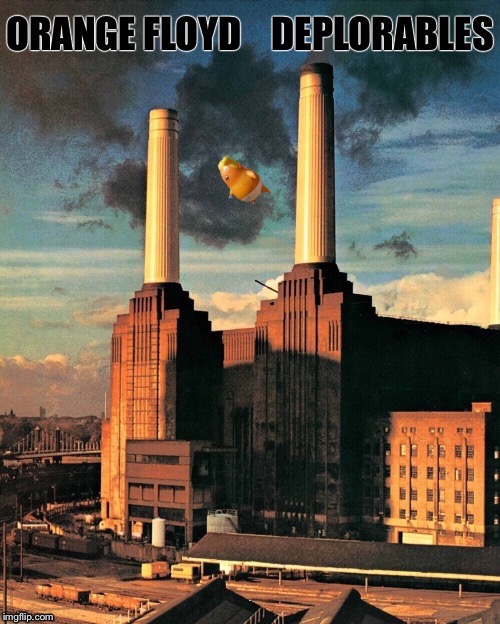 POTUS on the wing | A | image tagged in pink floyd,animals,deplorables,rock music,bad album art | made w/ Imgflip meme maker