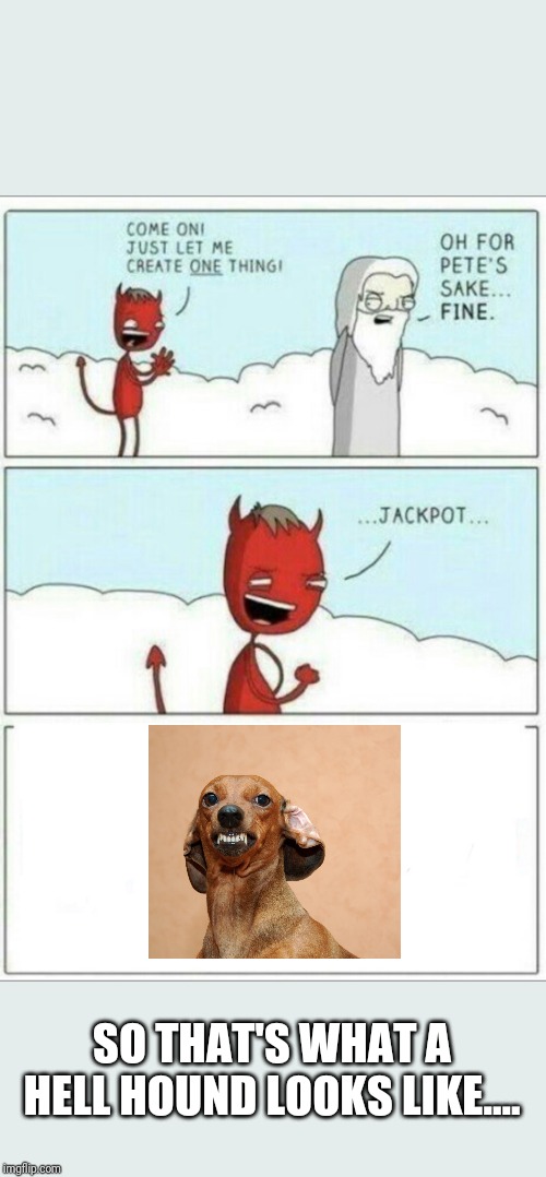 Let me create one thing | SO THAT'S WHAT A HELL HOUND LOOKS LIKE.... | image tagged in let me create one thing | made w/ Imgflip meme maker