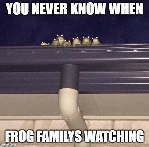 Frog Family | YOU NEVER KNOW WHEN; FROG FAMILYS WATCHING | image tagged in frog family | made w/ Imgflip meme maker