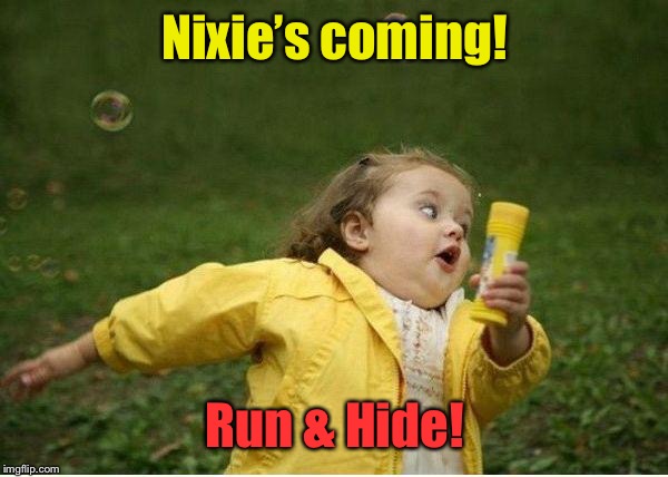 Chubby Bubbles Girl Meme | Nixie’s coming! Run & Hide! | image tagged in memes,chubby bubbles girl | made w/ Imgflip meme maker