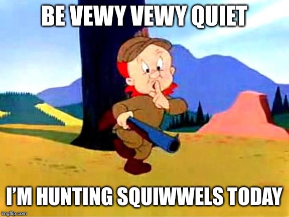 Elmer Fudd | BE VEWY VEWY QUIET; I’M HUNTING SQUIWWELS TODAY | image tagged in elmer fudd | made w/ Imgflip meme maker