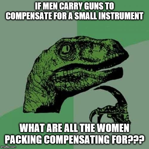 Philosoraptor | IF MEN CARRY GUNS TO COMPENSATE FOR A SMALL INSTRUMENT; WHAT ARE ALL THE WOMEN PACKING COMPENSATING FOR??? | image tagged in memes,philosoraptor | made w/ Imgflip meme maker