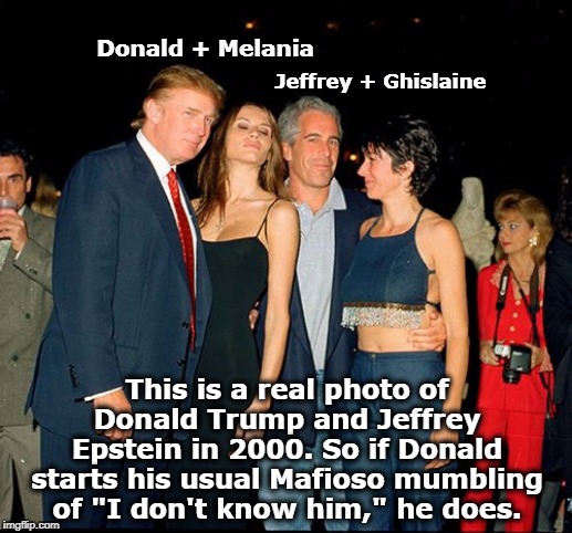 Start a modeling agency, import 14-year-old girls without visas, lie to immigration officials. One of these pervs did it. Guess? | Donald + Melania; Jeffrey + Ghislaine; This is a real photo of Donald Trump and Jeffrey Epstein in 2000. So if Donald starts his usual Mafioso mumbling of "I don't know him," he does. | image tagged in trump,jeffrey epstein,friends,melania trump,models,visa | made w/ Imgflip meme maker