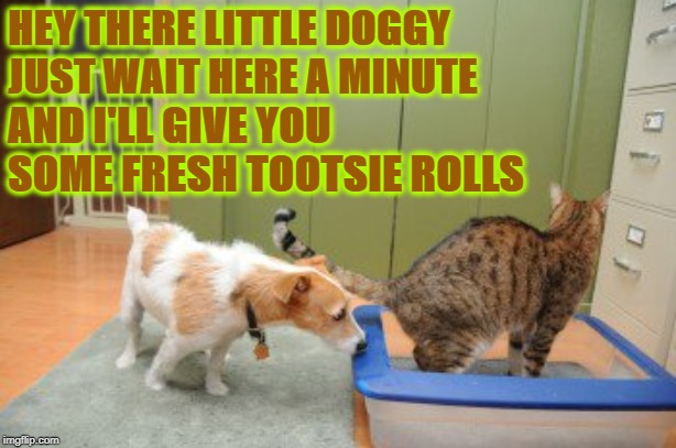 TOOTSIE ROLLS | HEY THERE LITTLE DOGGY JUST WAIT HERE A MINUTE; AND I'LL GIVE YOU SOME FRESH TOOTSIE ROLLS | image tagged in tootsie rolls | made w/ Imgflip meme maker