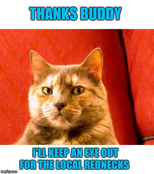 Suspicious Cat Meme | THANKS BUDDY I'LL KEEP AN EYE OUT FOR THE LOCAL REDNECKS | image tagged in memes,suspicious cat | made w/ Imgflip meme maker