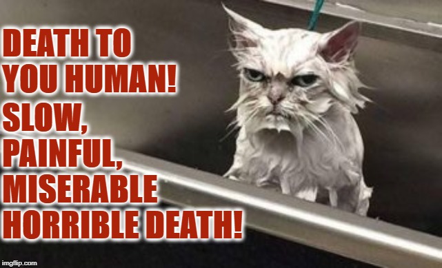 DEATH | SLOW, PAINFUL, MISERABLE HORRIBLE DEATH! DEATH TO YOU HUMAN! | image tagged in death | made w/ Imgflip meme maker