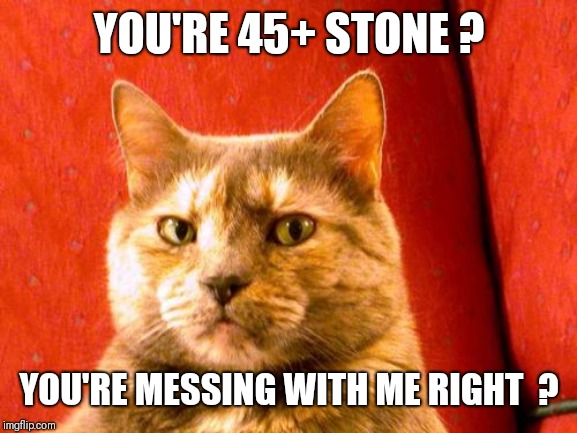 Suspicious Cat Meme | YOU'RE 45+ STONE ? YOU'RE MESSING WITH ME RIGHT  ? | image tagged in memes,suspicious cat | made w/ Imgflip meme maker