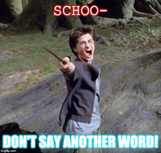 Harry potter | SCHOO-; DON'T SAY ANOTHER WORD! | image tagged in harry potter | made w/ Imgflip meme maker