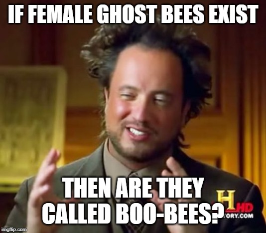 Ancient Aliens Meme | IF FEMALE GHOST BEES EXIST; THEN ARE THEY CALLED BOO-BEES? | image tagged in memes,ancient aliens | made w/ Imgflip meme maker