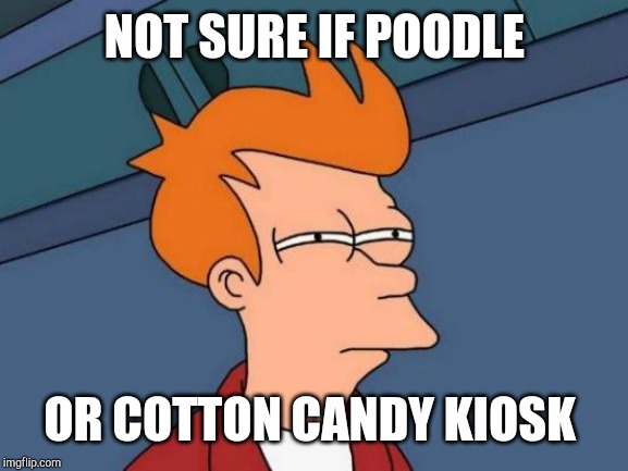 Futurama Fry Meme | NOT SURE IF POODLE OR COTTON CANDY KIOSK | image tagged in memes,futurama fry | made w/ Imgflip meme maker