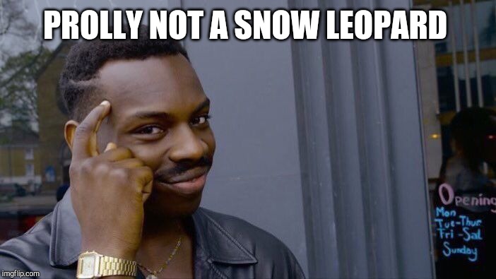 Roll Safe Think About It Meme | PROLLY NOT A SNOW LEOPARD | image tagged in memes,roll safe think about it | made w/ Imgflip meme maker