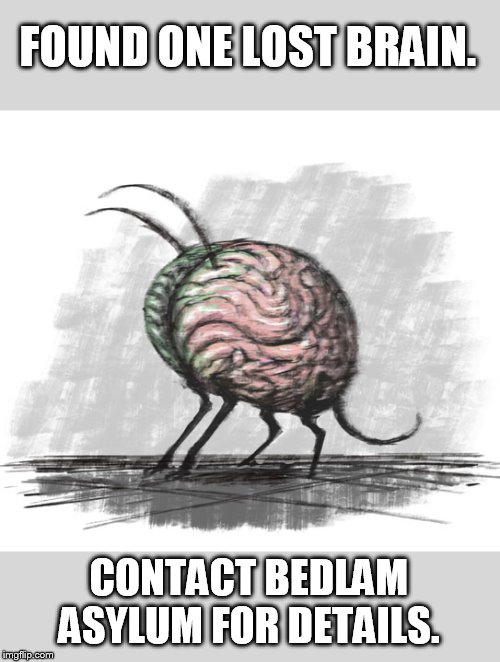 Where'd I put it this time? | FOUND ONE LOST BRAIN. CONTACT BEDLAM ASYLUM FOR DETAILS. | image tagged in lost mind | made w/ Imgflip meme maker
