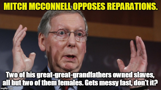 Yassuh, boss. | MITCH MCCONNELL OPPOSES REPARATIONS. Two of his great-great-grandfathers owned slaves, all but two of them females. Gets messy fast, don't it? | image tagged in mitch mcconnell meme,slavery,slaves | made w/ Imgflip meme maker