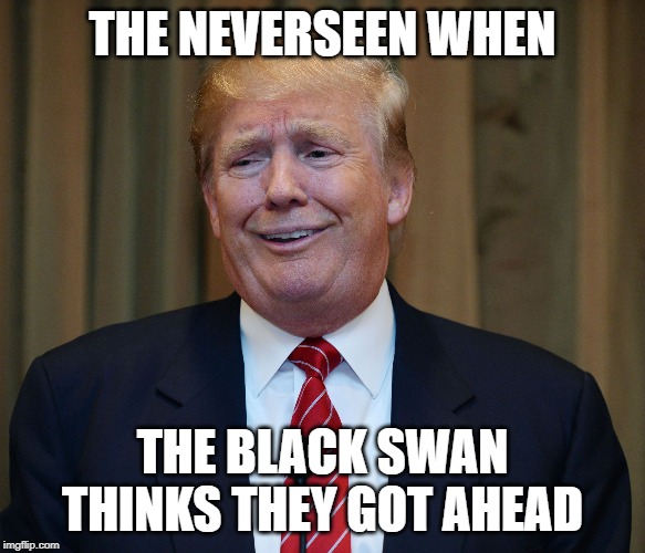 I think the funniest thing here is that the neverseen is associated with trump (No hate) |  THE NEVERSEEN WHEN; THE BLACK SWAN THINKS THEY GOT AHEAD | made w/ Imgflip meme maker