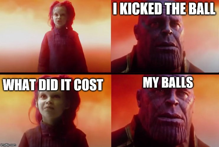 thanos what did it cost | I KICKED THE BALL WHAT DID IT COST MY BALLS | image tagged in thanos what did it cost | made w/ Imgflip meme maker
