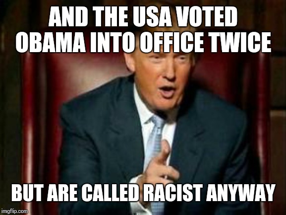 Donald Trump | AND THE USA VOTED OBAMA INTO OFFICE TWICE BUT ARE CALLED RACIST ANYWAY | image tagged in donald trump | made w/ Imgflip meme maker