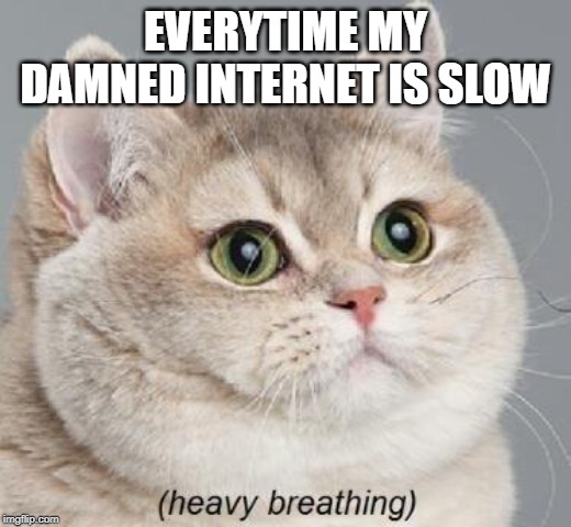 Heavy Breathing Cat Meme | EVERYTIME MY DAMNED INTERNET IS SLOW | image tagged in memes,heavy breathing cat | made w/ Imgflip meme maker
