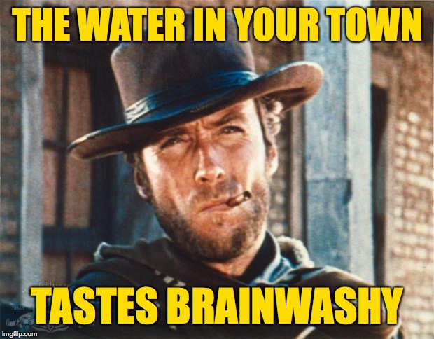 Clint Eastwood | THE WATER IN YOUR TOWN TASTES BRAINWASHY | image tagged in clint eastwood | made w/ Imgflip meme maker