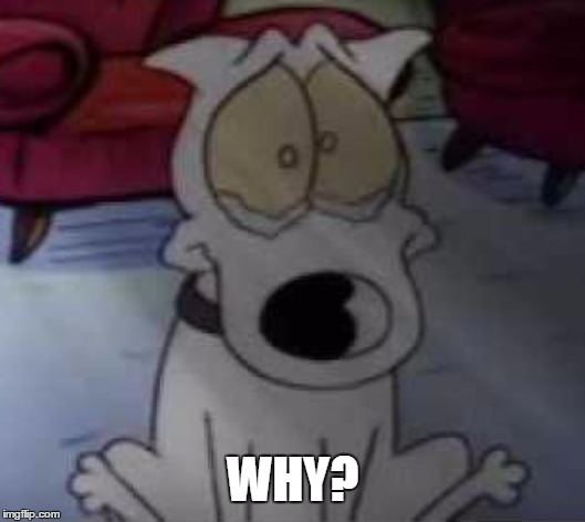 WHY? | image tagged in rocko's modern life | made w/ Imgflip meme maker