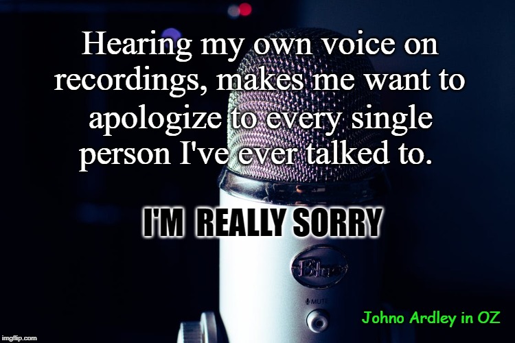 Hearing My Own Voice | Hearing my own voice on recordings, makes me want to; apologize to every single person I've ever talked to. I'M  REALLY SORRY; Johno Ardley in OZ | image tagged in sorry,voice,apology | made w/ Imgflip meme maker