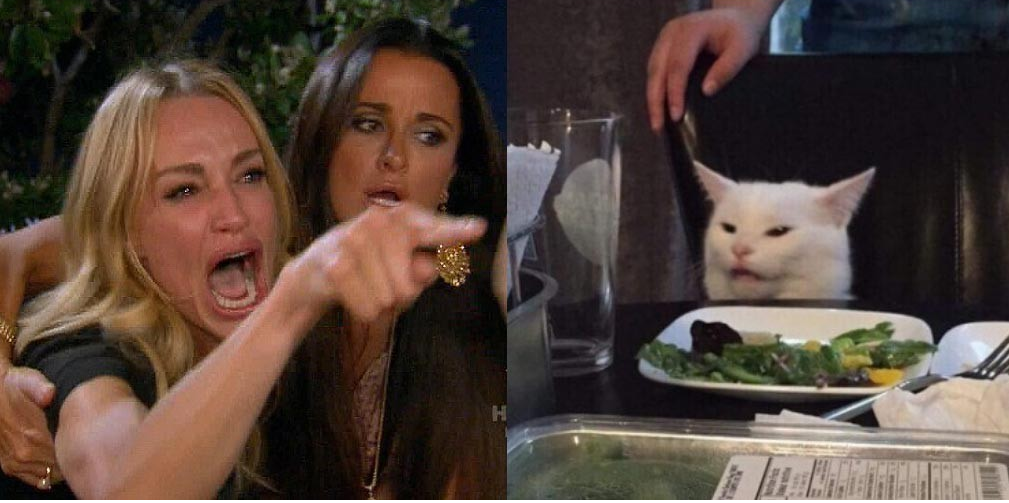 High Quality salad cat Blank Meme Template