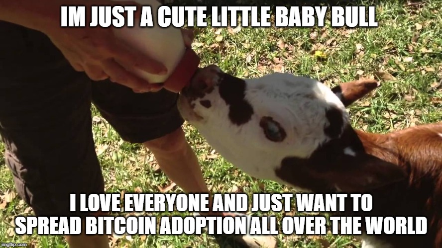 IM JUST A CUTE LITTLE BABY BULL; I LOVE EVERYONE AND JUST WANT TO SPREAD BITCOIN ADOPTION ALL OVER THE WORLD | made w/ Imgflip meme maker