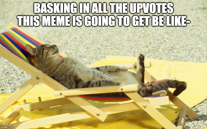 hopefully | BASKING IN ALL THE UPVOTES THIS MEME IS GOING TO GET BE LIKE- | image tagged in cat sunbathing,begging,fishing for upvotes | made w/ Imgflip meme maker