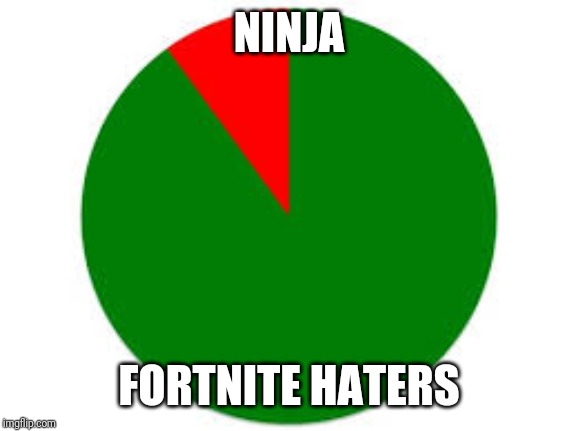 pie chart | NINJA; FORTNITE HATERS | image tagged in pie chart | made w/ Imgflip meme maker