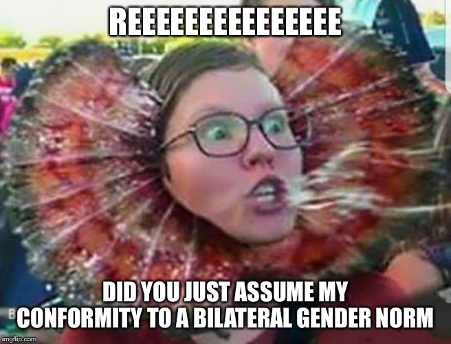 Triggered SJW Dragon | REEEEEEEEEEEEEEE DID YOU JUST ASSUME MY CONFORMITY TO A BILATERAL GENDER NORM | image tagged in triggered sjw dragon | made w/ Imgflip meme maker