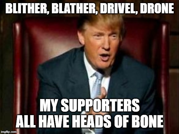 Donald Trump | BLITHER, BLATHER, DRIVEL, DRONE; MY SUPPORTERS ALL HAVE HEADS OF BONE | image tagged in donald trump | made w/ Imgflip meme maker