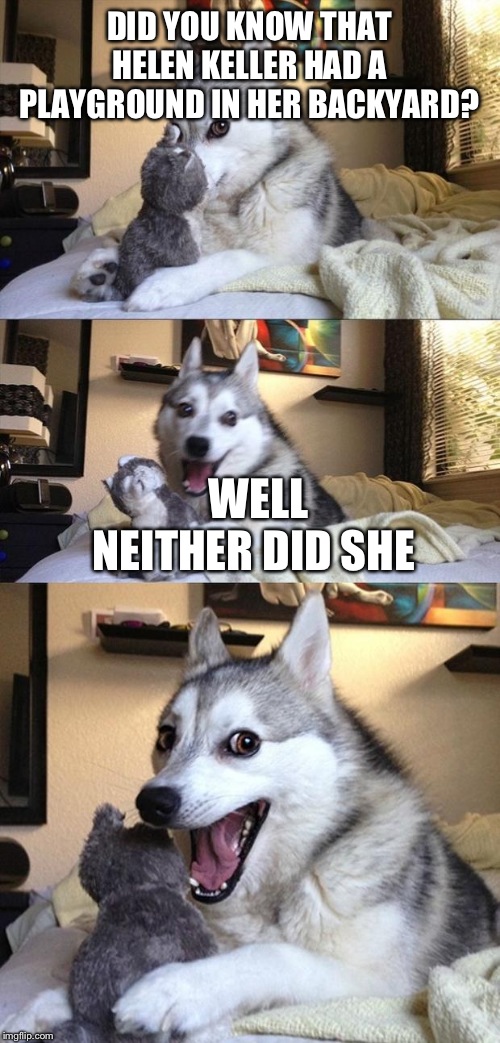 Bad Joke Dog | DID YOU KNOW THAT HELEN KELLER HAD A PLAYGROUND IN HER BACKYARD? WELL NEITHER DID SHE | image tagged in bad joke dog | made w/ Imgflip meme maker