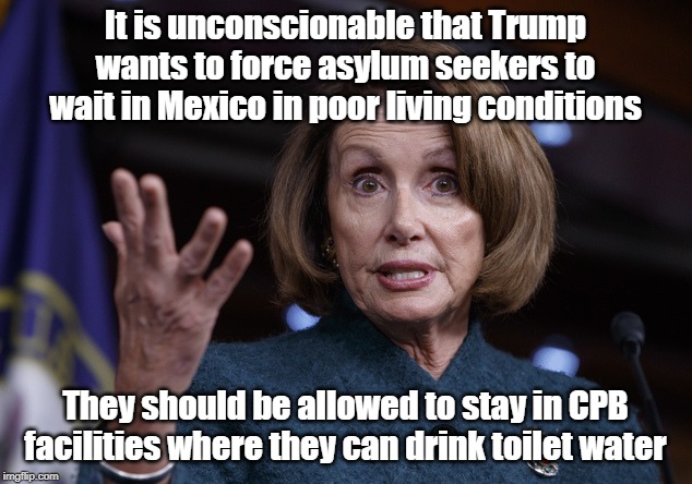 Unconscionable Nancy Pelosi | It is unconscionable that Trump wants to force asylum seekers to wait in Mexico in poor living conditions; They should be allowed to stay in CPB facilities where they can drink toilet water | image tagged in good old nancy pelosi,trump,illegal immigration | made w/ Imgflip meme maker