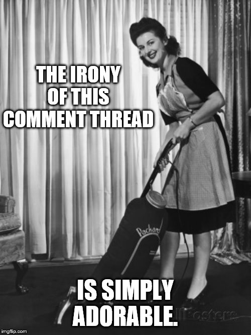 50's Housework | THE IRONY OF THIS COMMENT THREAD IS SIMPLY ADORABLE. | image tagged in 50's housework | made w/ Imgflip meme maker