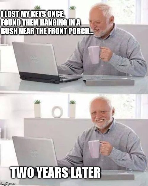 Hide the Pain Harold Meme | I LOST MY KEYS ONCE. FOUND THEM HANGING IN A BUSH NEAR THE FRONT PORCH... TWO YEARS LATER | image tagged in memes,hide the pain harold | made w/ Imgflip meme maker