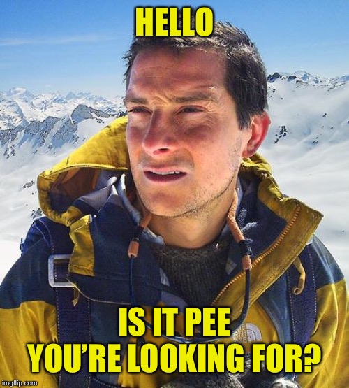 Bear Grylls |  HELLO; IS IT PEE YOU’RE LOOKING FOR? | image tagged in memes,bear grylls | made w/ Imgflip meme maker