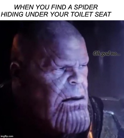 WHEN YOU FIND A SPIDER HIDING UNDER YOUR TOILET SEAT; Oh god no... | image tagged in blank white template | made w/ Imgflip meme maker