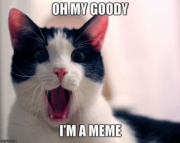 tuxedo cat chess | OH MY GOODY; I'M A MEME | image tagged in tuxedo cat chess | made w/ Imgflip meme maker