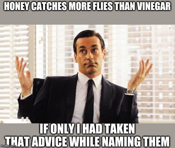 don draper | HONEY CATCHES MORE FLIES THAN VINEGAR IF ONLY I HAD TAKEN THAT ADVICE WHILE NAMING THEM | image tagged in don draper | made w/ Imgflip meme maker